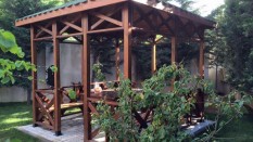 Ahşap Kamelye Grupları