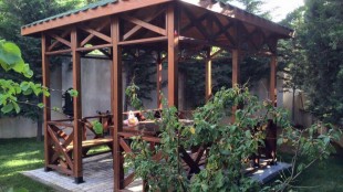 Ahşap Kamelye Grupları