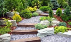 Bitkisel Peyzaj Çalışmaları