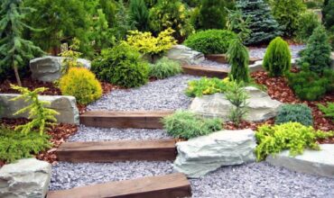 Bitkisel Peyzaj Çalışmaları