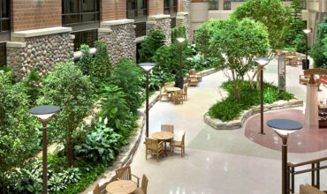 İç Mekan Düzenleme