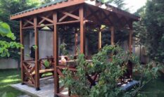 Ahşap Kamelye Grupları