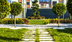 Yapısal Peyzaj Uygulamaları